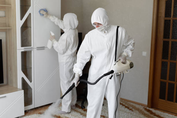 24/7 Emergency Odor Removal experts in Hecker, IL