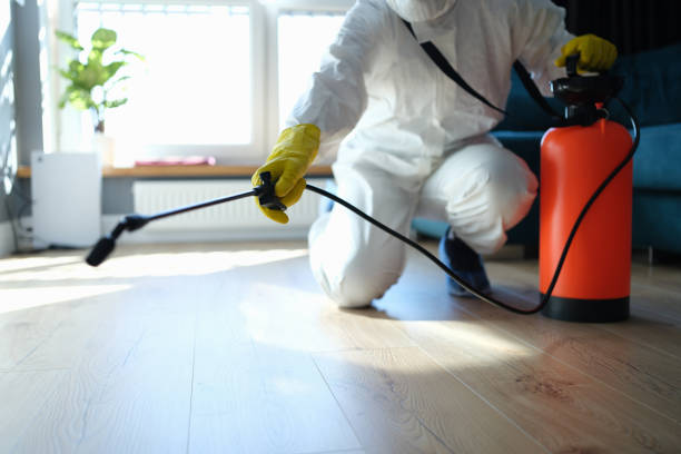 Reliable Odor Removal contractor in Hecker, IL by Trauma Clean Pros